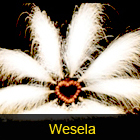 wesela